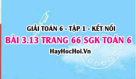 Giải bài 3.13 trang 66 Toán 6 Tập 1 SGK Kết nối tri thức